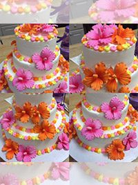 Jacquettes Bakery - Communions